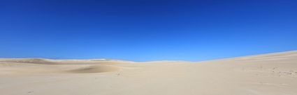 Sand Dunes - Fraser Island - QLD (PB5D 00 51A1205)